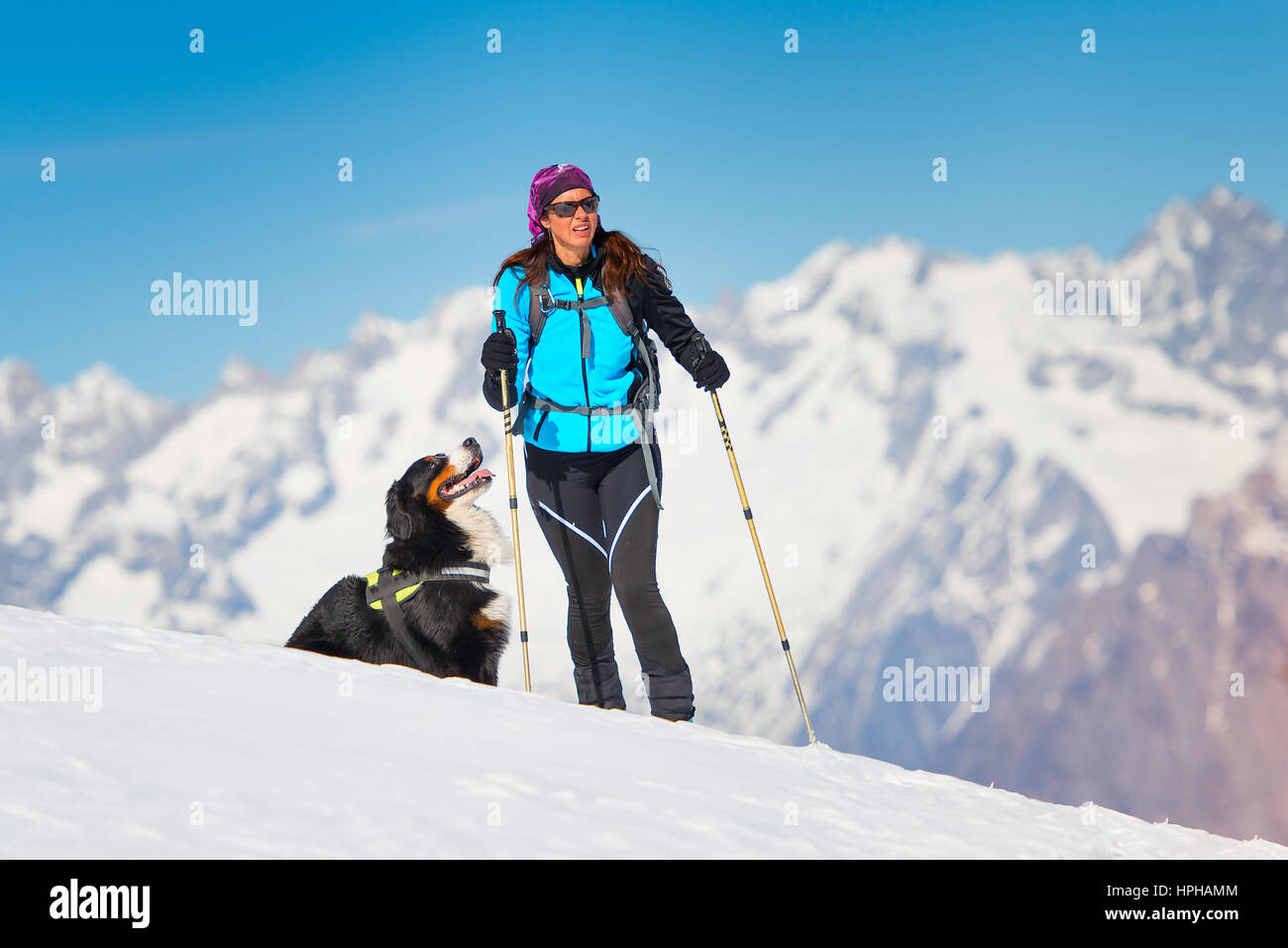 Alpinist Mädchen auf Skiern und Fellen allein mit seinem treuen Freund Hund Stockfoto