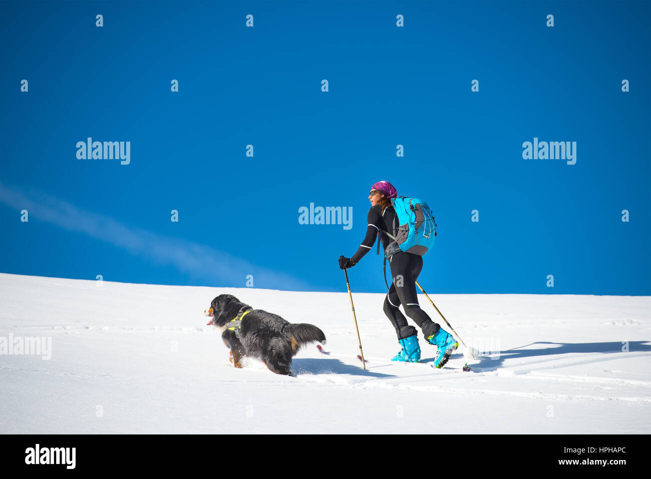 Mädchen Ski Alpinist Mountain Salz allein mit seinem Hund Berner Sennenhund im Schnee Stockfoto