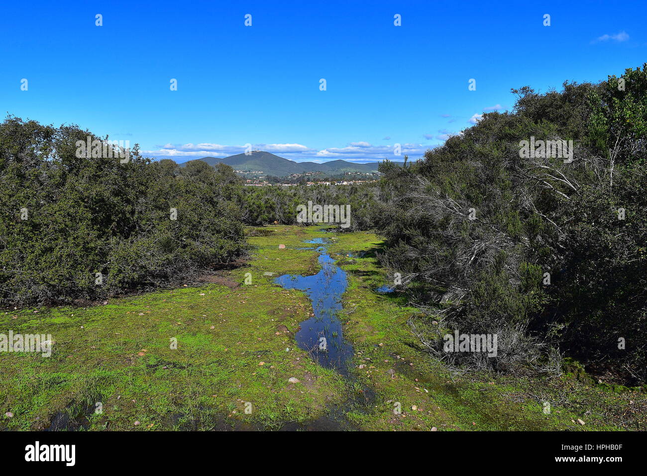 Ansicht des Black Mountain und vernal Pools, Del Mar Mesa, San Diego, Kalifornien Stockfoto