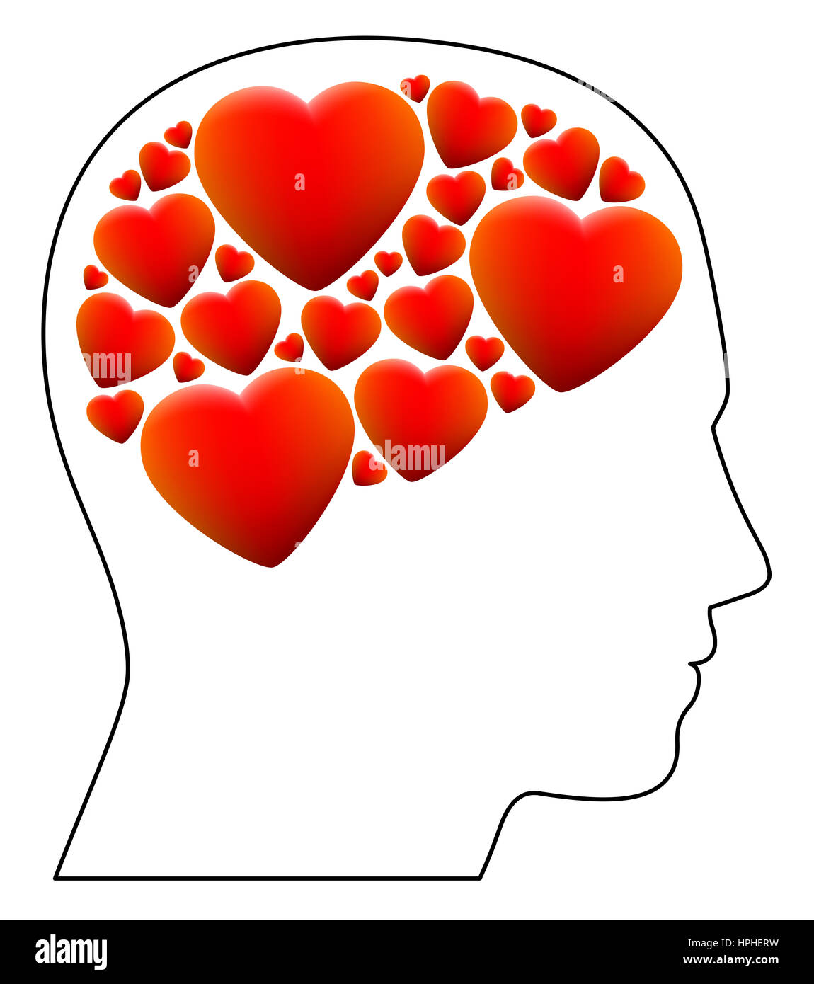 Verliebt - symbolisiert durch einen Kopf voller Herzen statt Gehirn - Abbildung auf weißem Hintergrund. Stockfoto