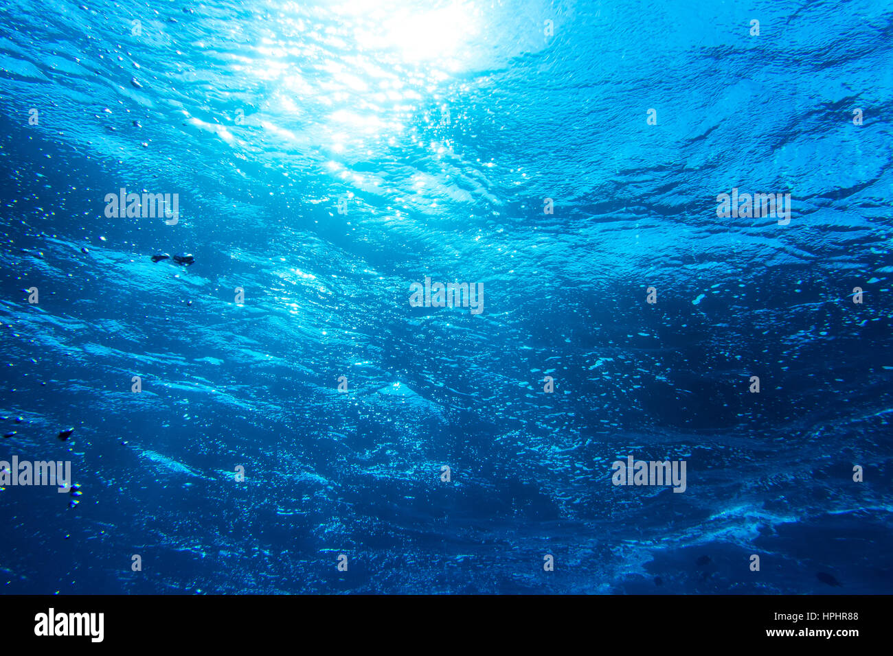 Unterwasser tiefblaue Meer Hintergrund Blick in die Sonne aus dem Meeresboden Stockfoto