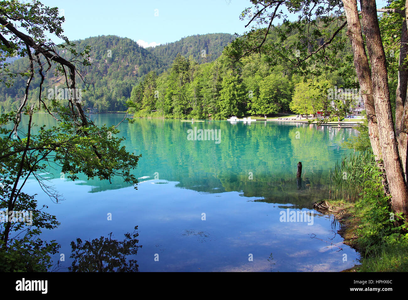 Schönen Bleder See in Slowenien Stockfoto