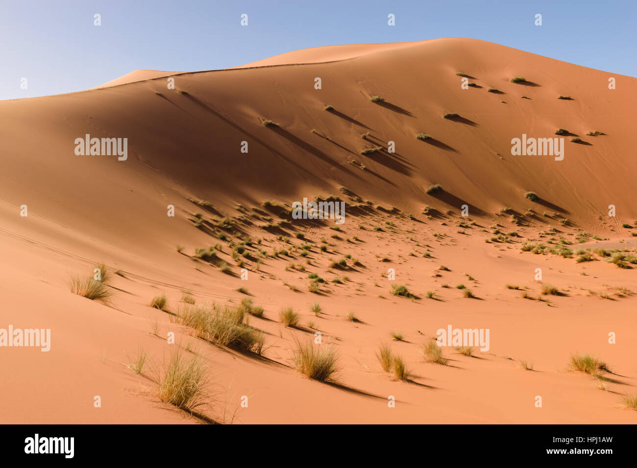 Aus-Blick über die Dünen des Erg Chebbi Wüste bei Merzouga, Marokko. Stockfoto