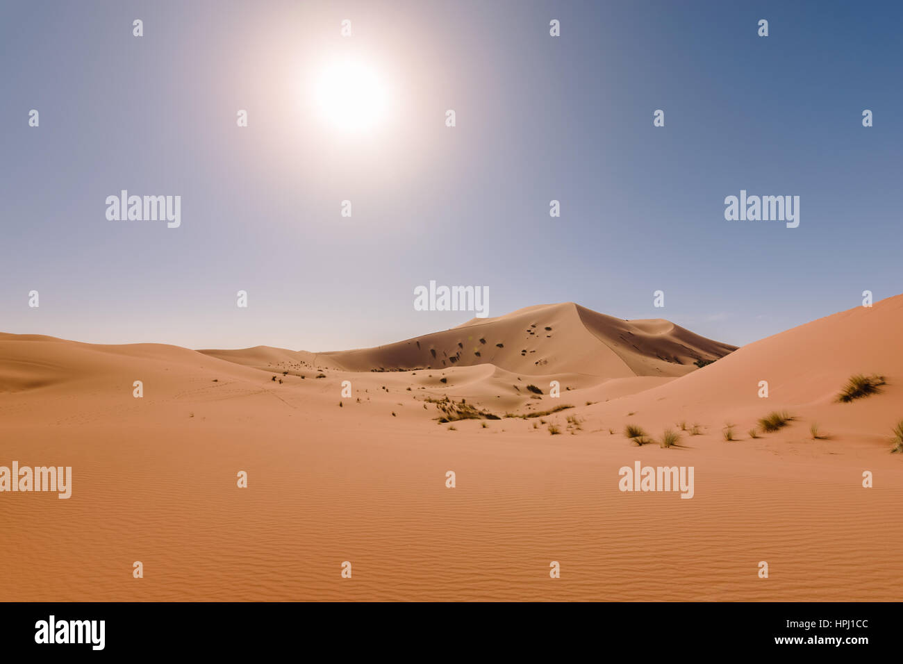 Aus-Blick über die Dünen des Erg Chebbi Wüste bei Merzouga, Marokko. Stockfoto