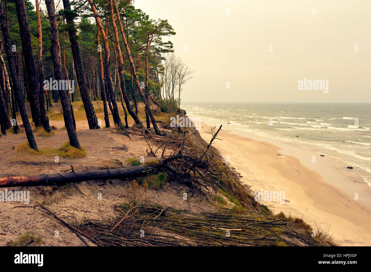 Holländer Cap, Ostsee, Litauen. Stockfoto