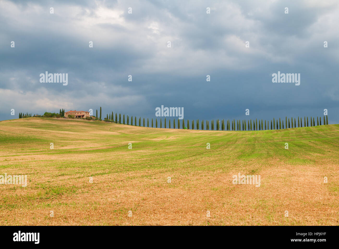 Toskana Landschaft, schönen grünen Hügeln und Zypresse Reihe Frühling in Italien, Europa Stockfoto