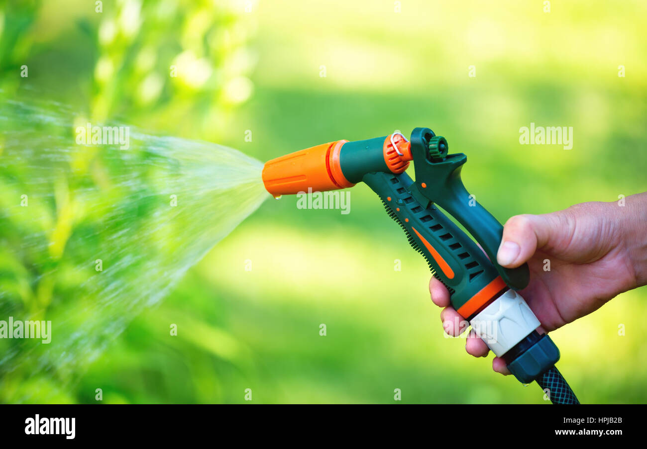 Gartenbewässerung mit Schlauch Spritze Pistole Düse. Frau Hand Bewässerung Blumen. Geringe Schärfentiefe Stockfotografie