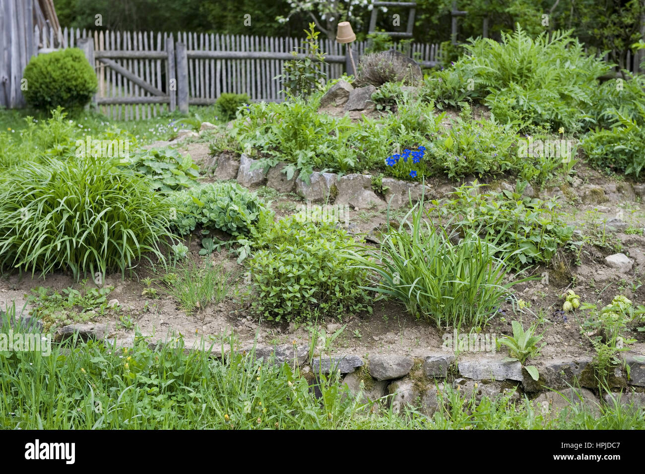Permakulturgarten PermaKulturGarten Stockfoto, Bild