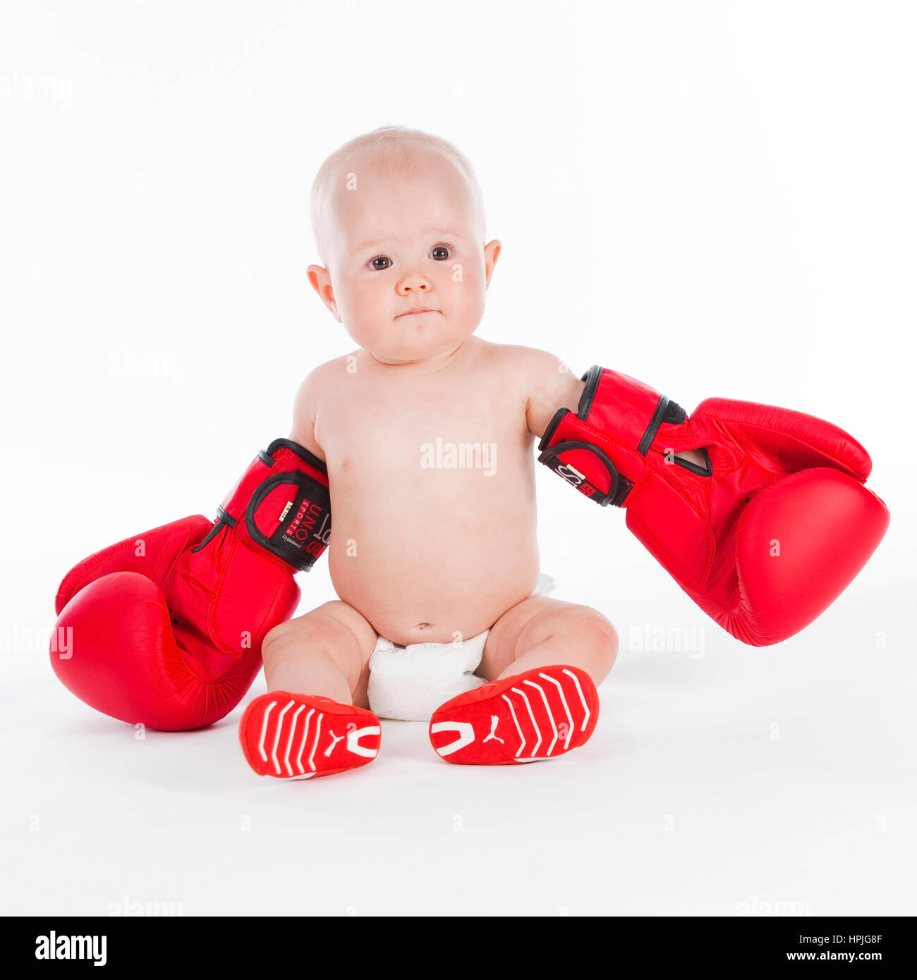 Model Release, Baby, 10 Monate, Mit Boxhandschuhen - Baby mit Boxhandschuhen  Stockfotografie - Alamy