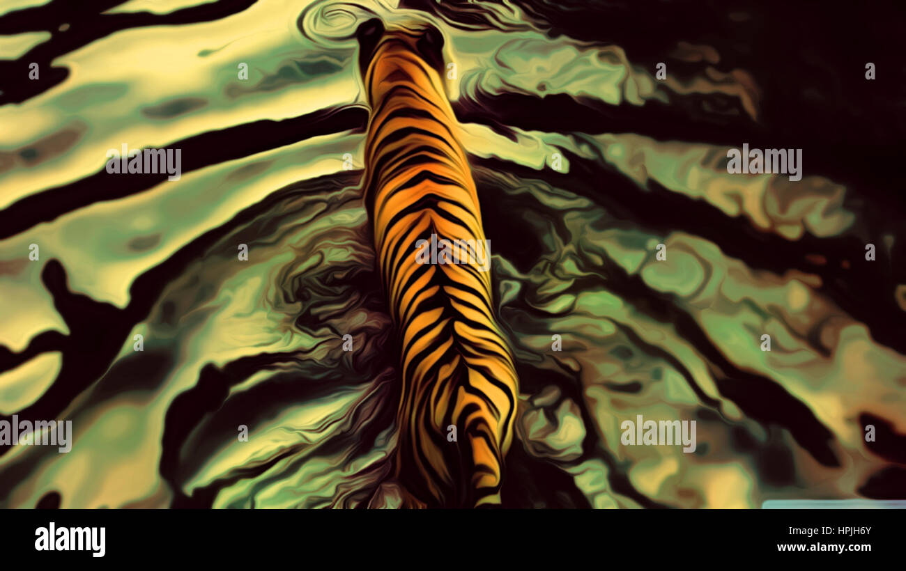 Tiger im seichten Wasser waten Stockfoto