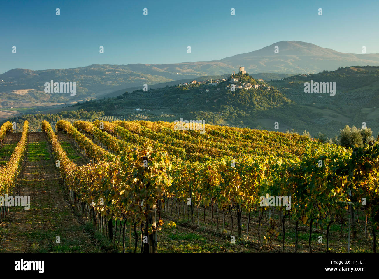 Abend-Blick über die Weinberge nach Rocca d ' Orcia, Toskana, Italien Stockfoto