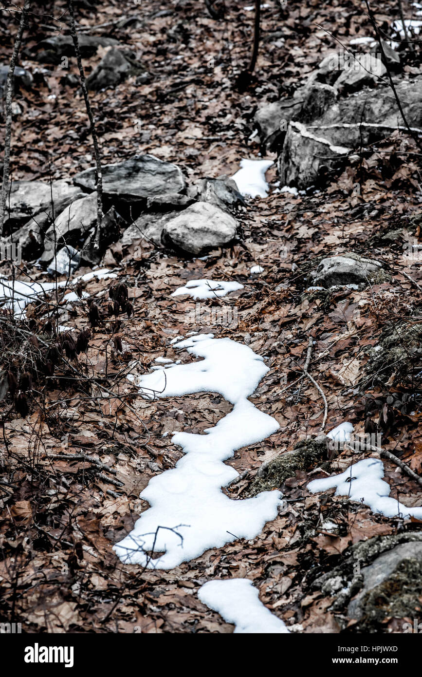Winter Albro Schnee Uferweg mit vertrockneten Gräsern in Dartmouth Stockfoto