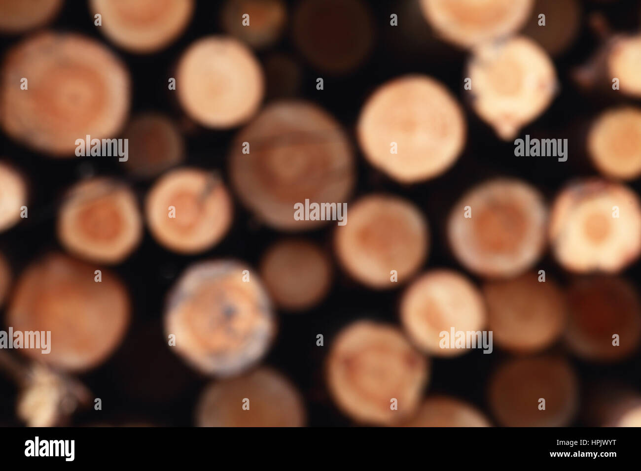 Unkonzentriert Holz natürlichen Hintergrund mit schneiden Kreis Protokolle Stockfoto