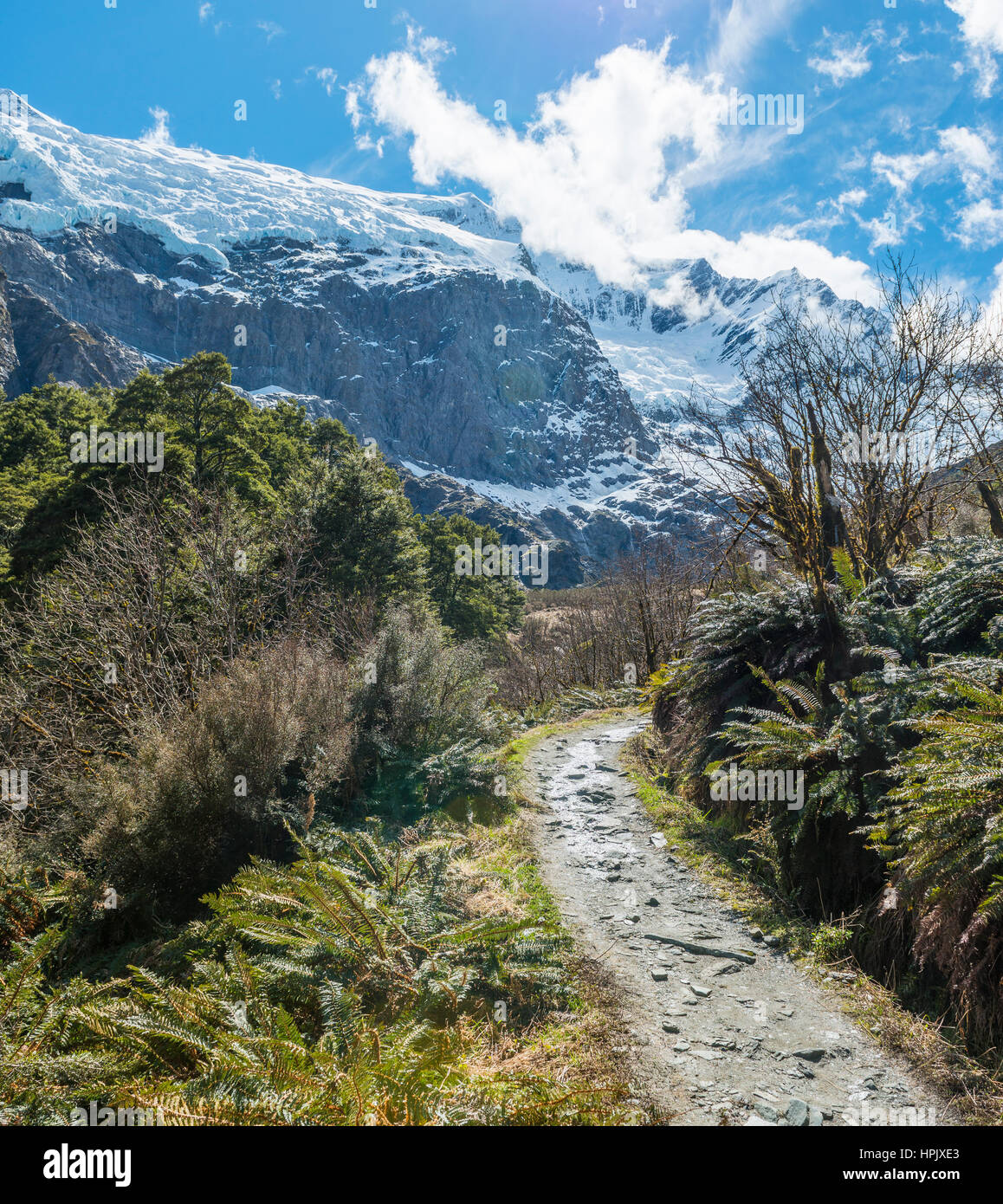 Wanderweg, Rob Roy Gletscher, Mount Aspiring National Park, Otago, Southland, Neuseeland Stockfoto
