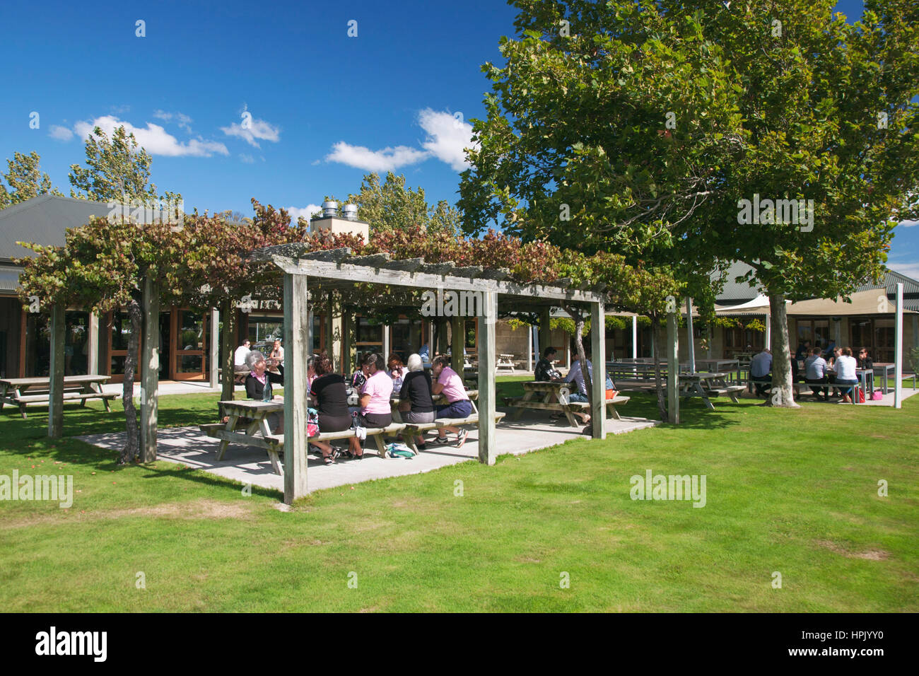 Blenheim, Marlborough, Neuseeland. Besucher genießen eine freien Mittagessen unter den Reben in der Wairau River Winery. Stockfoto