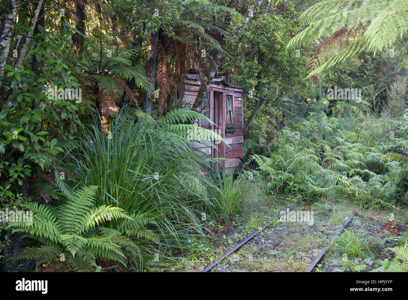Greymouth, West Coast, New Zealand. Überwucherten Anschlussbahn im Elendsviertel, Erholung von einem 19. Jahrhundert Gold-Bergbausiedlung. Stockfoto