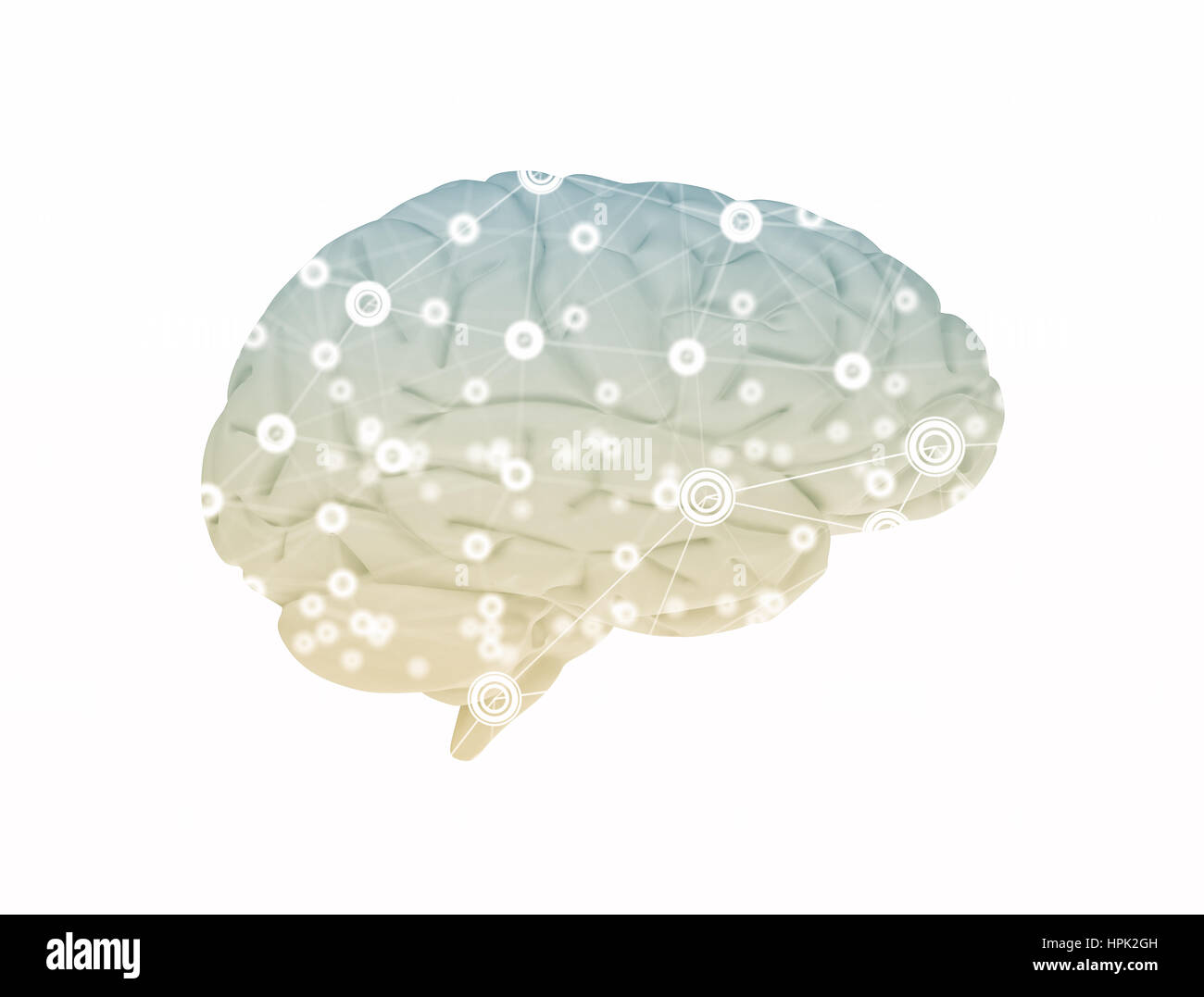 Gehirn und Netzwerk Muster 3d Render isoliert auf weißem Hintergrund Stockfoto