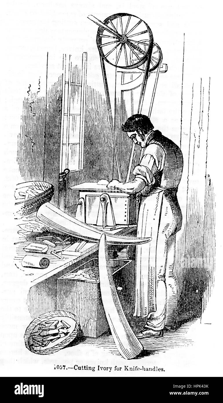 Schneiden für Elfenbein verarbeitet, um 1850 Stockfoto