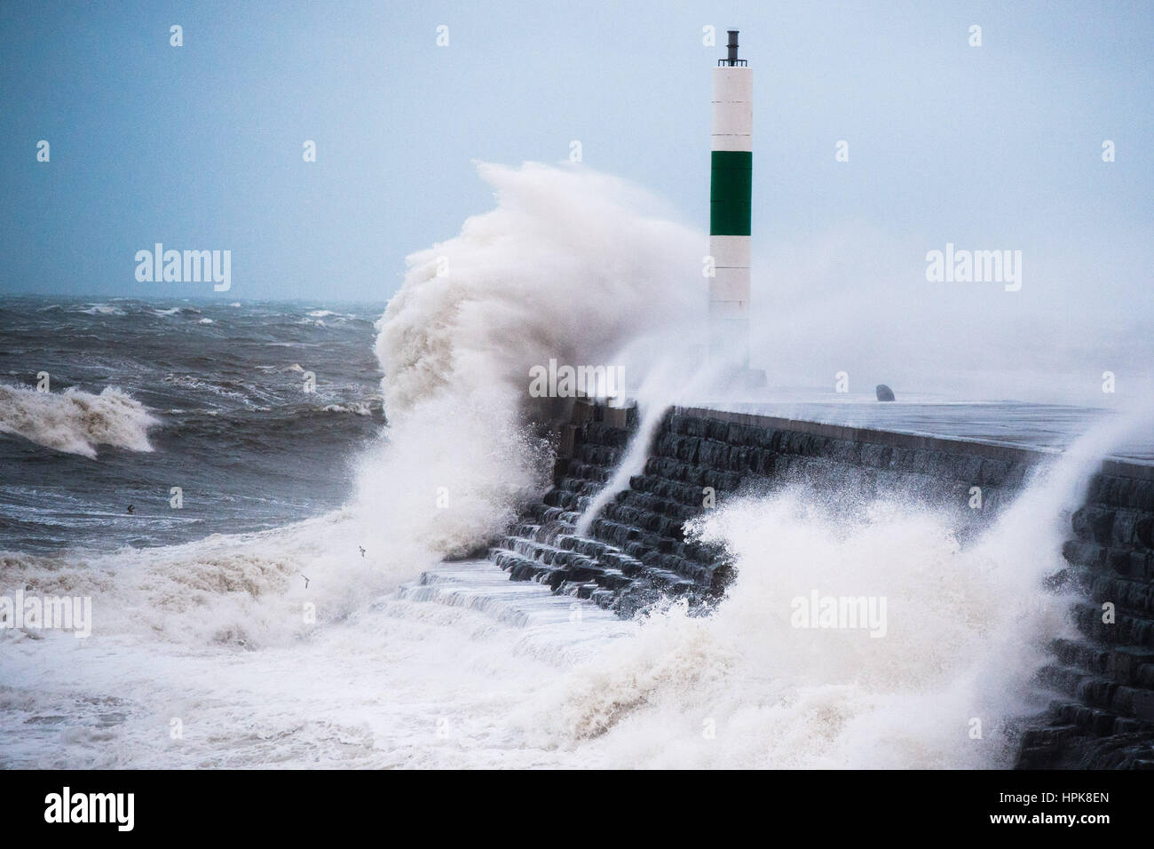 Aberystwyth, Wales, UK. 23. Februar 2017. UK-Wetter: In den frühen Morgenstunden des Donnerstag, Sturm Doris, die vierte benannt Sturm des Winters, trifft das Meer Aberystwyth, massive Wellen schlagen gegen die Promenade und Meer Abwehr zu bringen. Orkanartiger Sturm Kraft 11 Winde mit Böen von bis zu 90 km/h dürften für einen Teil von Nordwales und Nordwest-England, mit dem Risiko von Schäden an Eigentum und schwerwiegende Störung zu reisen. Der Sturm hat als ein "Wetter-Bombe" kategorisiert (Explosive Cyclogenisis) durch das Met Office. Bildnachweis: Keith Morris/Alamy Live-Nachrichten Stockfoto