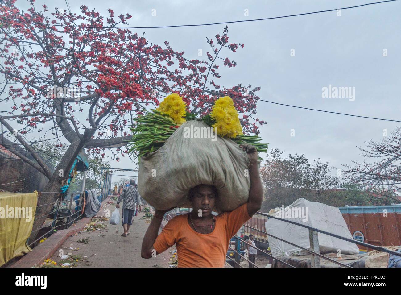 Kolkata, Westbengalen, Indien. 23. Februar 2017. Bildunterschrift: Kolkata, Westbengalen, Indien: Blumenmarkt unter der Howrah Brücke und von der Seite der Fluss Hooghly, ist einer der belebtesten Gegend in Kalkutta in den frühen Morgenstunden. Blume Großhändler versammeln sich hier Evryday, Blumen und Girlanden zu verkaufen. Ein riesiges Treffen dauert Ort am frühen Morgen und bei Gelegenheit mal erstreckt sich bis zu Abend auch. Bildnachweis: Debsuddha Banerjee/ZUMA Draht/Alamy Live-Nachrichten Stockfoto