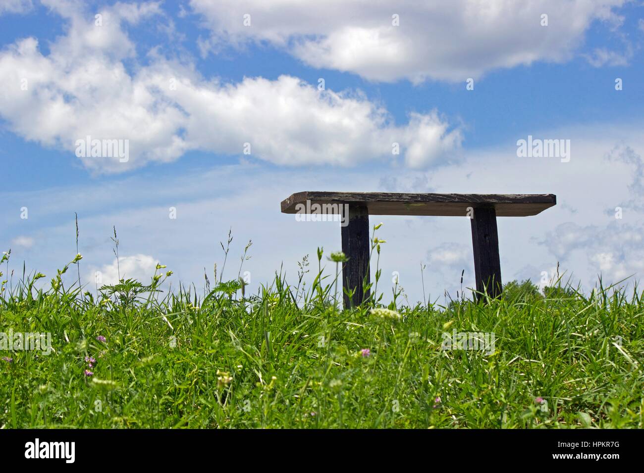 Ein Ort zum Entspannen - einer einfache Holzbank an einem Sommertag Stockfoto