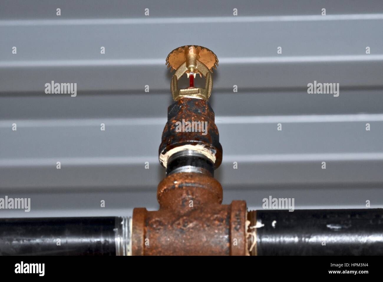 Feuersprenger Stockfoto