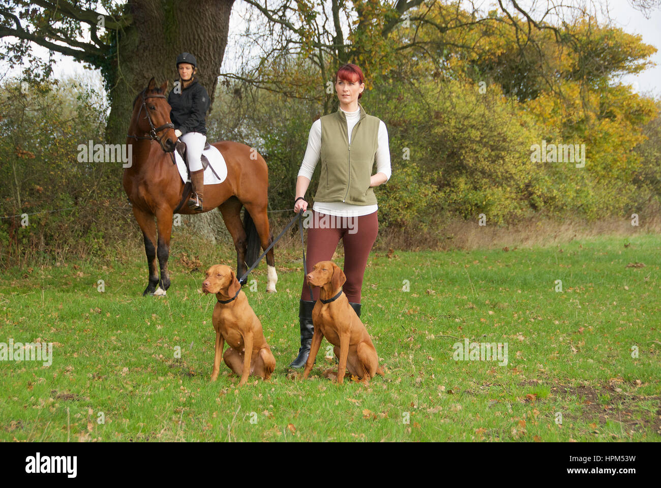Single frauen und hunde