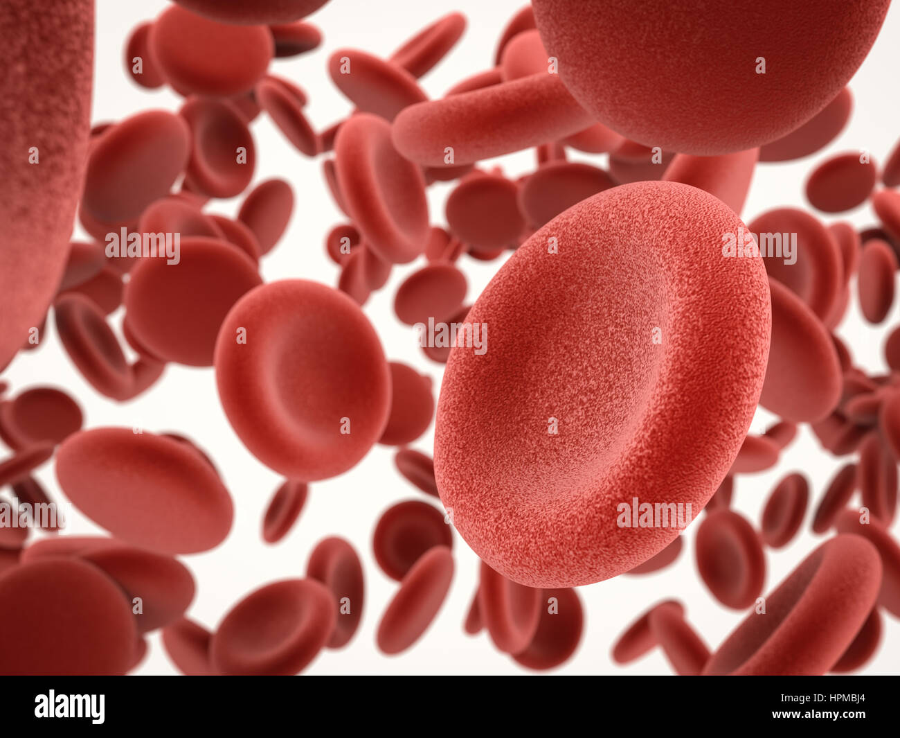 3D Rendering roten Blutkörperchen auf weißem Hintergrund Stockfoto