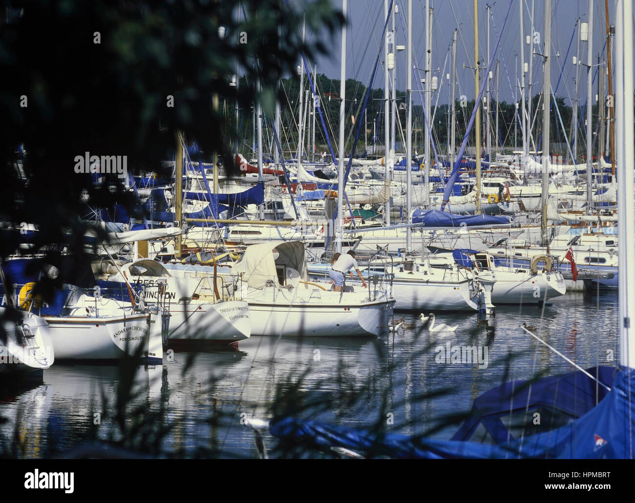 Chichester Marina. West Sussex. England. UK Stockfoto