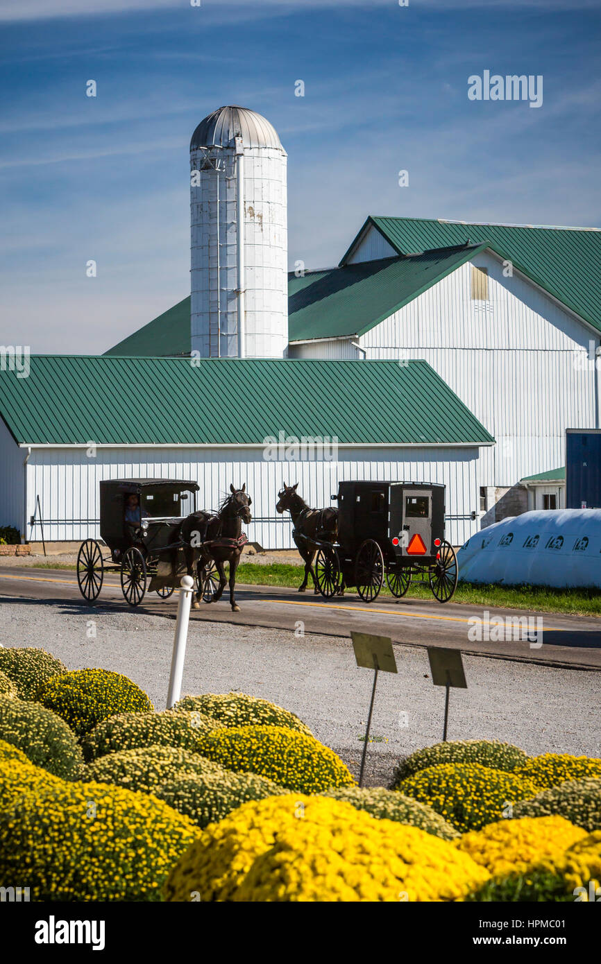 Amische Pferd und Buggys auf den Straßen in der Nähe von Mt. Eaton, Ohio, USA. Stockfoto