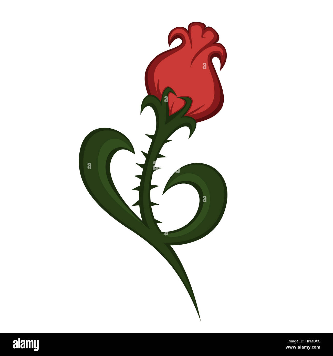 eine schöne Blume Rose-ähnliche Darstellung (mit Spikes) Stockfoto