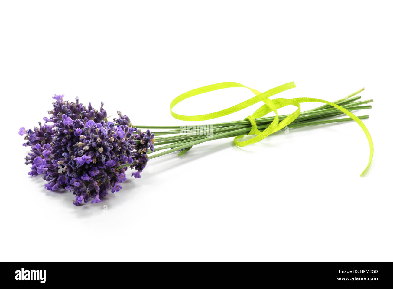 Reihe von Lavendel isoliert auf weißem Hintergrund Stockfoto