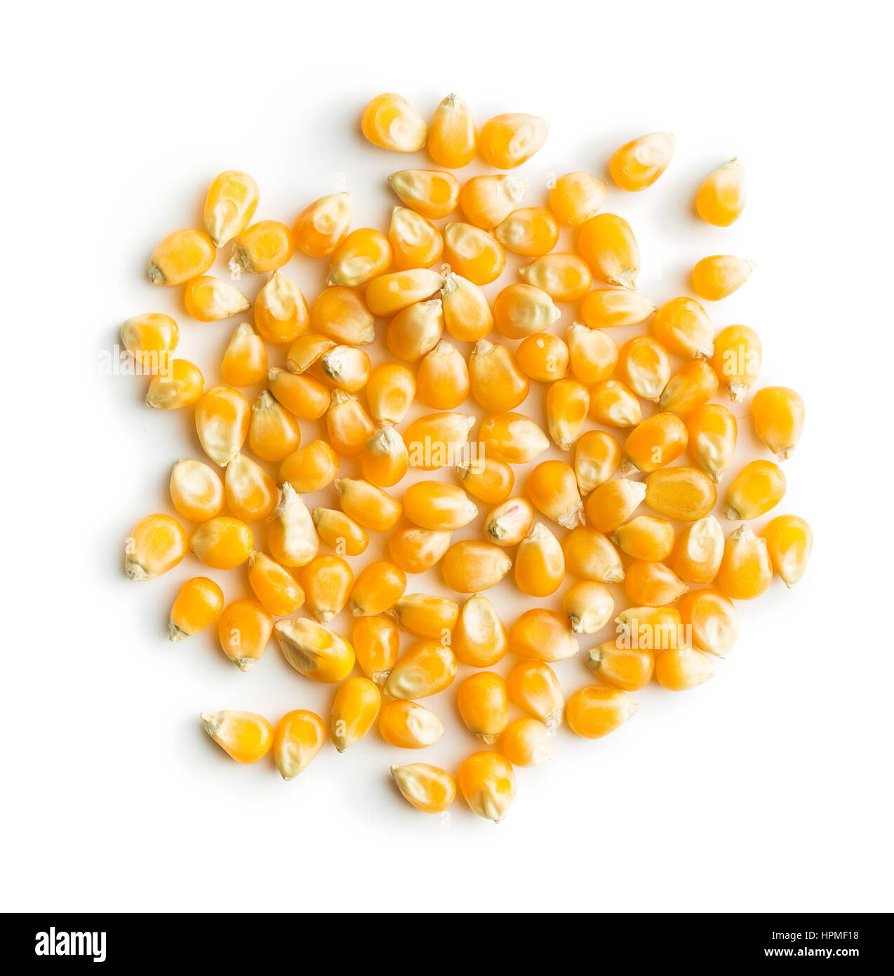 Das Maissaatgut isoliert auf weiem Hintergrund Stockfotografie - Alamy