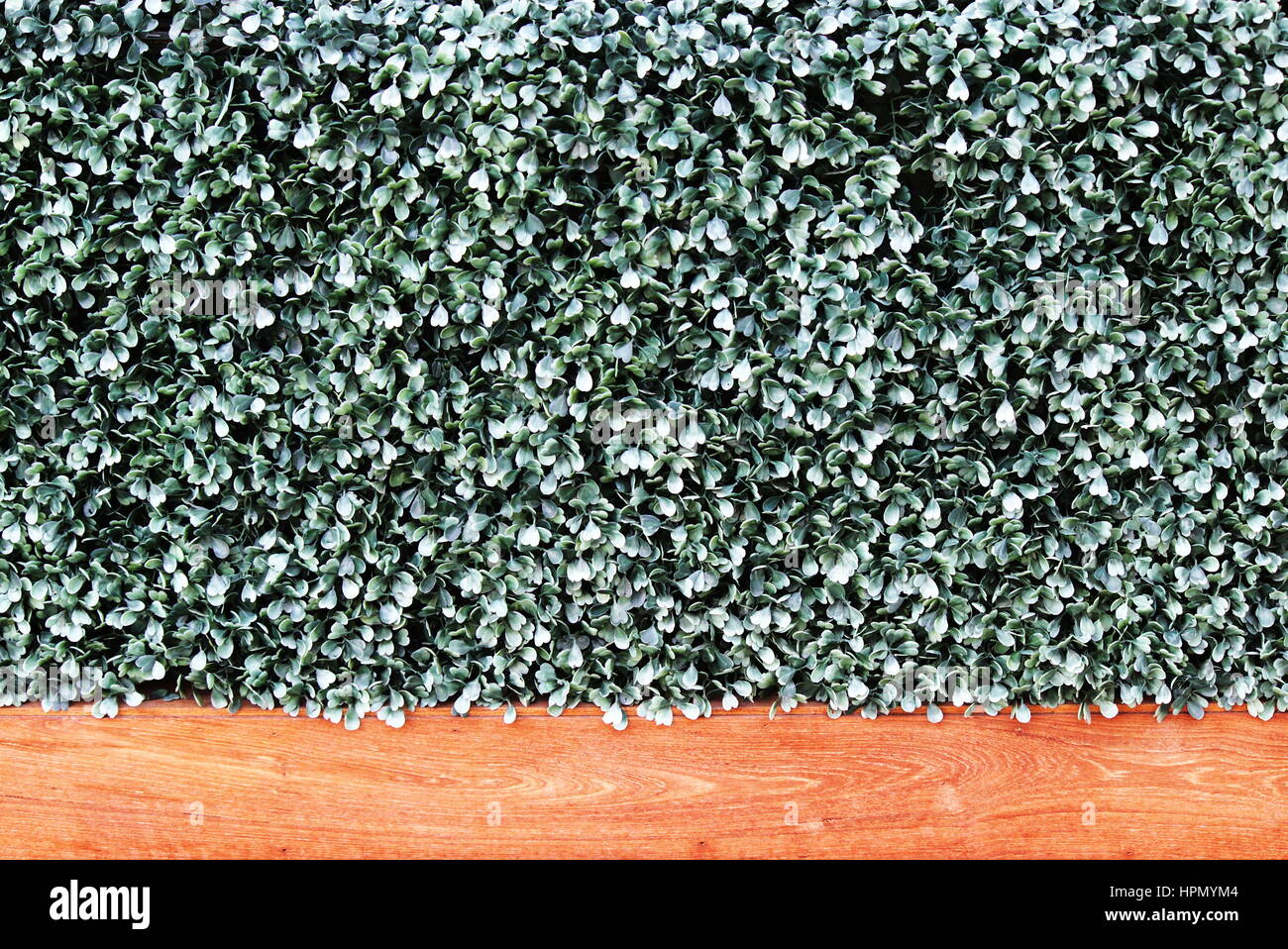 Grünen Kunstrasen Wand mit Holzbrett Stockfoto