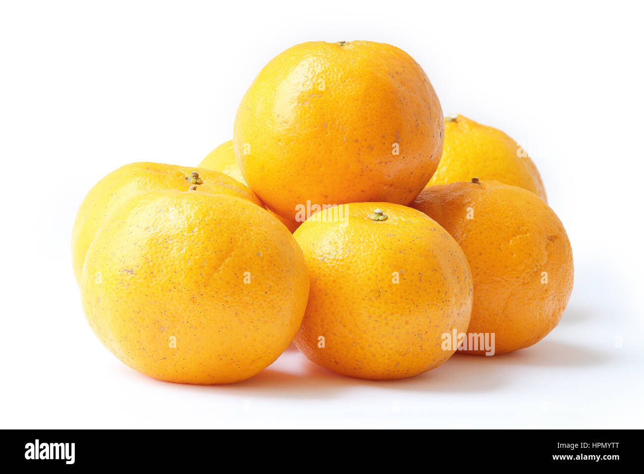 Orange, Mandarine, Citrus sinensis Stockfoto