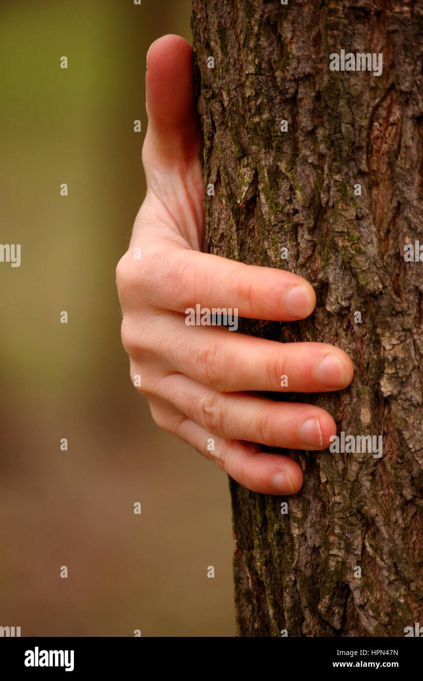 männliche Hand berühren einen Baumstamm als Konzept für den Schutz der Natur Stockfoto