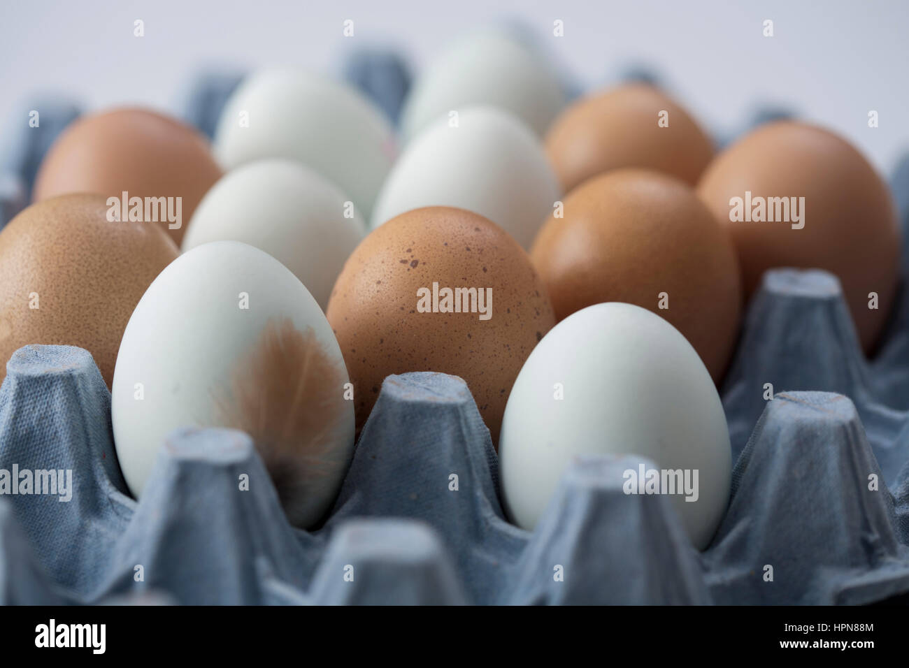 Bunten Eiern auf blauen Eierbehälter mit Feder im Vordergrund Stockfoto