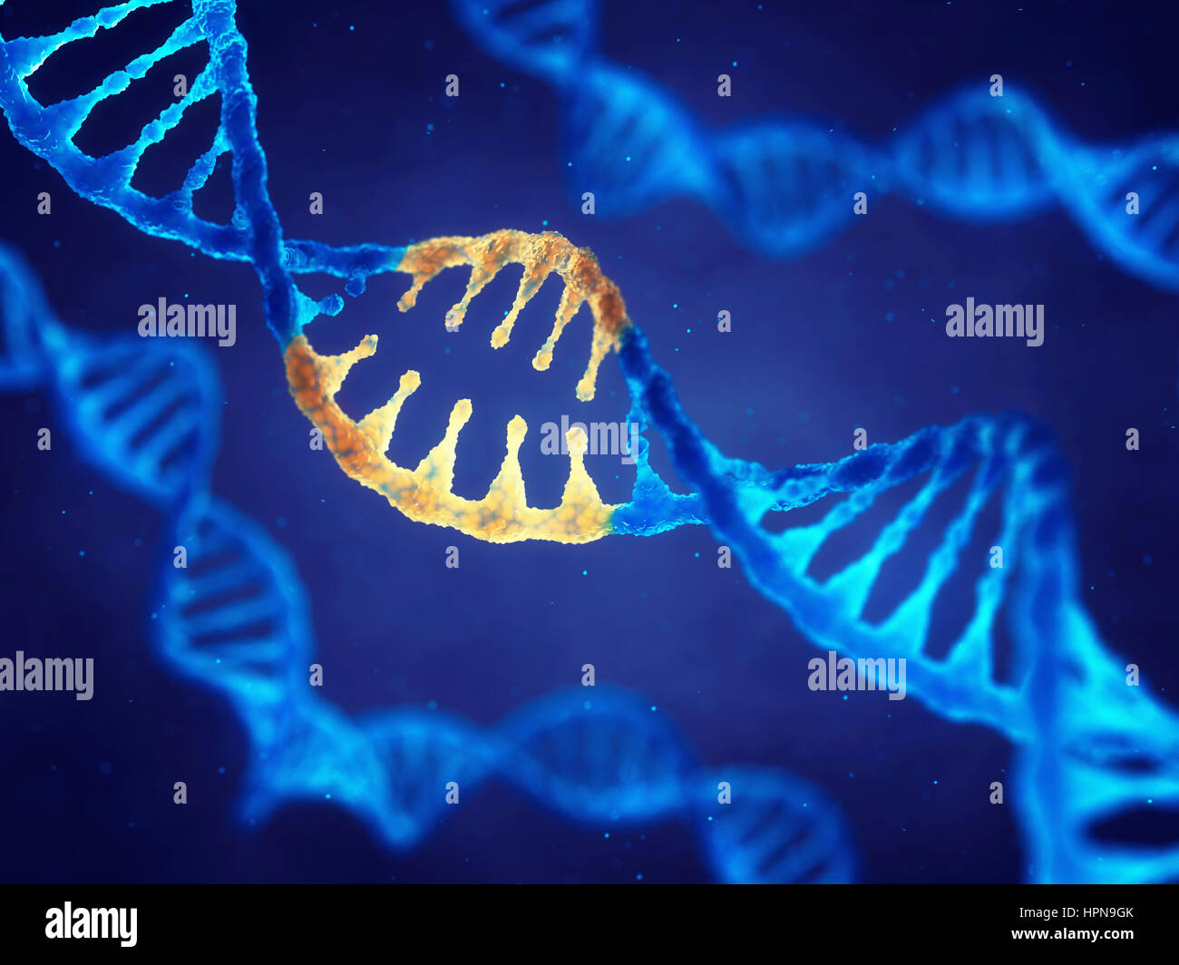 Doppel-Helix DNA-Molekül mit veränderten Genen Korrektur Mutation durch Gentechnik Stockfoto