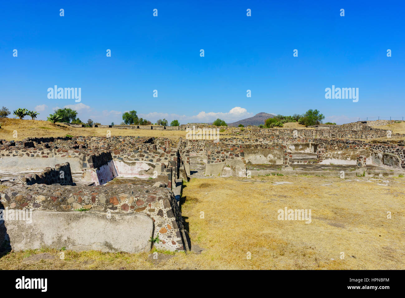 Felsen auf der Straße der Toten in Teotihuacán, Mexiko Stockfoto