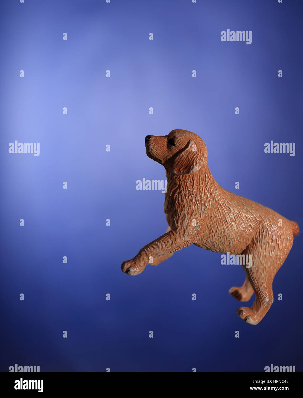 Brauner Hundespielzeug auf blauem Hintergrund isoliert Stockfoto
