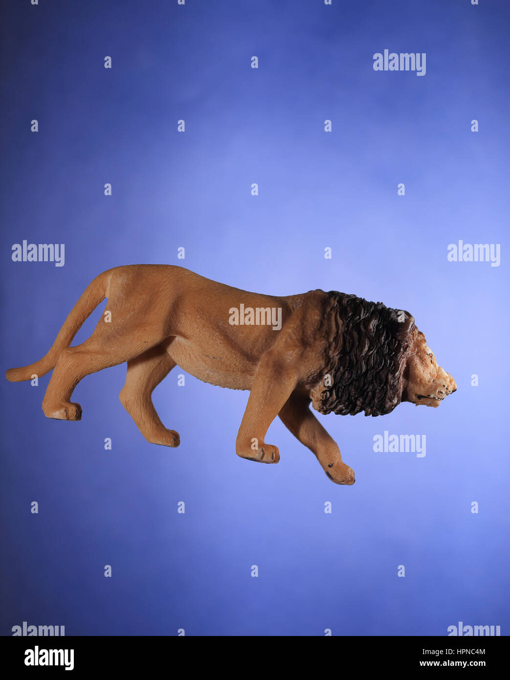 Afrikanischer Löwe Spielzeug auf blauem Hintergrund isoliert Stockfoto