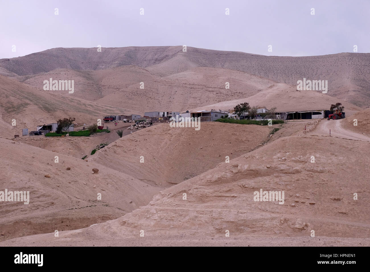 Ein Beduinen Camp der Jahalin Stammes Gemeinschaft in die judäische Wüste Juda oder der West Bank Israel. Die Jahalin Stammes wurden mit Blick auf die kontinuierliche Zerstörungen und Vertreibungen Bedrohungen durch die israelischen Behörden und folglich in dem Gebiet vor der Jerusalem - Jericho autobahn a Plan, der West Bank Beduinen Führer ablehnen und behaupten, um die jüdischen Siedlungen erweitern gepresst. Stockfoto