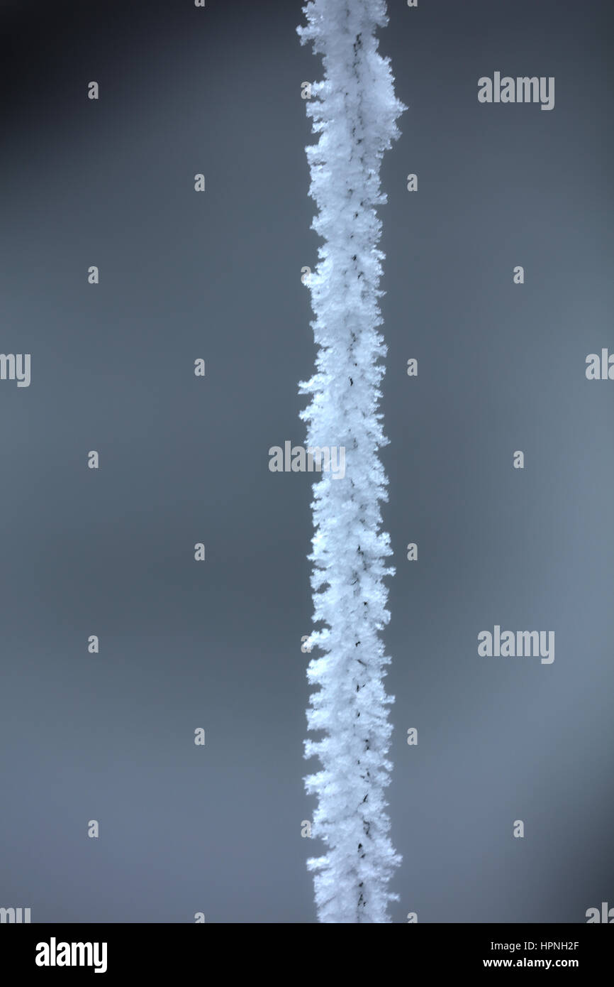 Zaun Mit Eis bedeckt Stockfoto