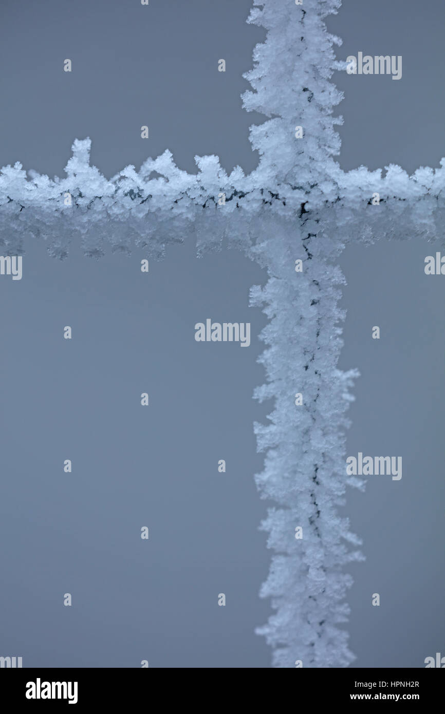 Zaun Mit Eis bedeckt Stockfoto