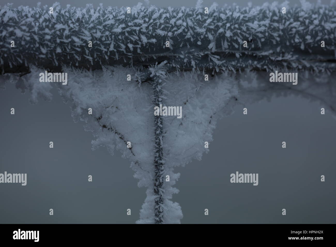 Zaun Mit Eis bedeckt Stockfoto