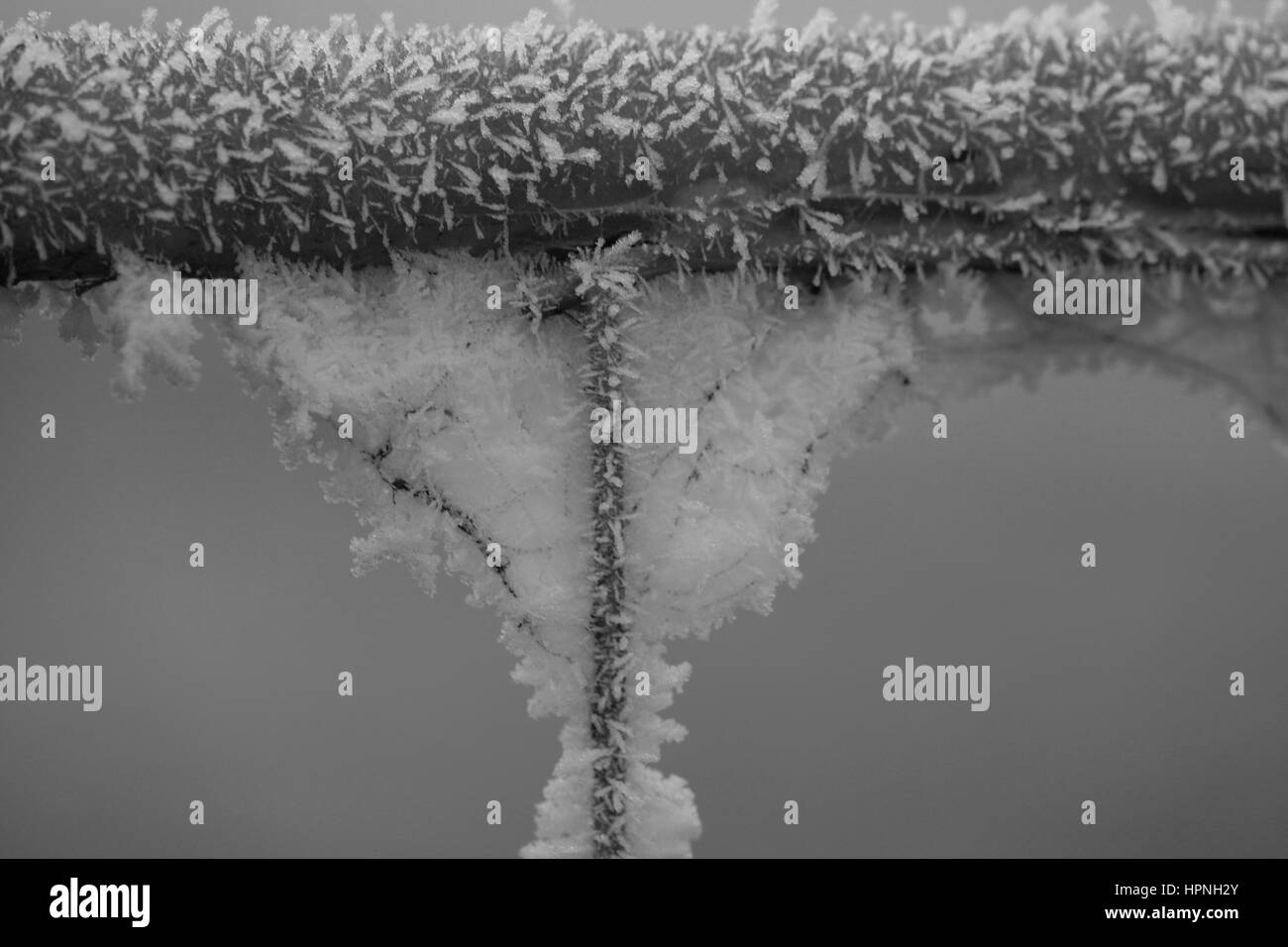 Zaun Mit Eis bedeckt Stockfoto
