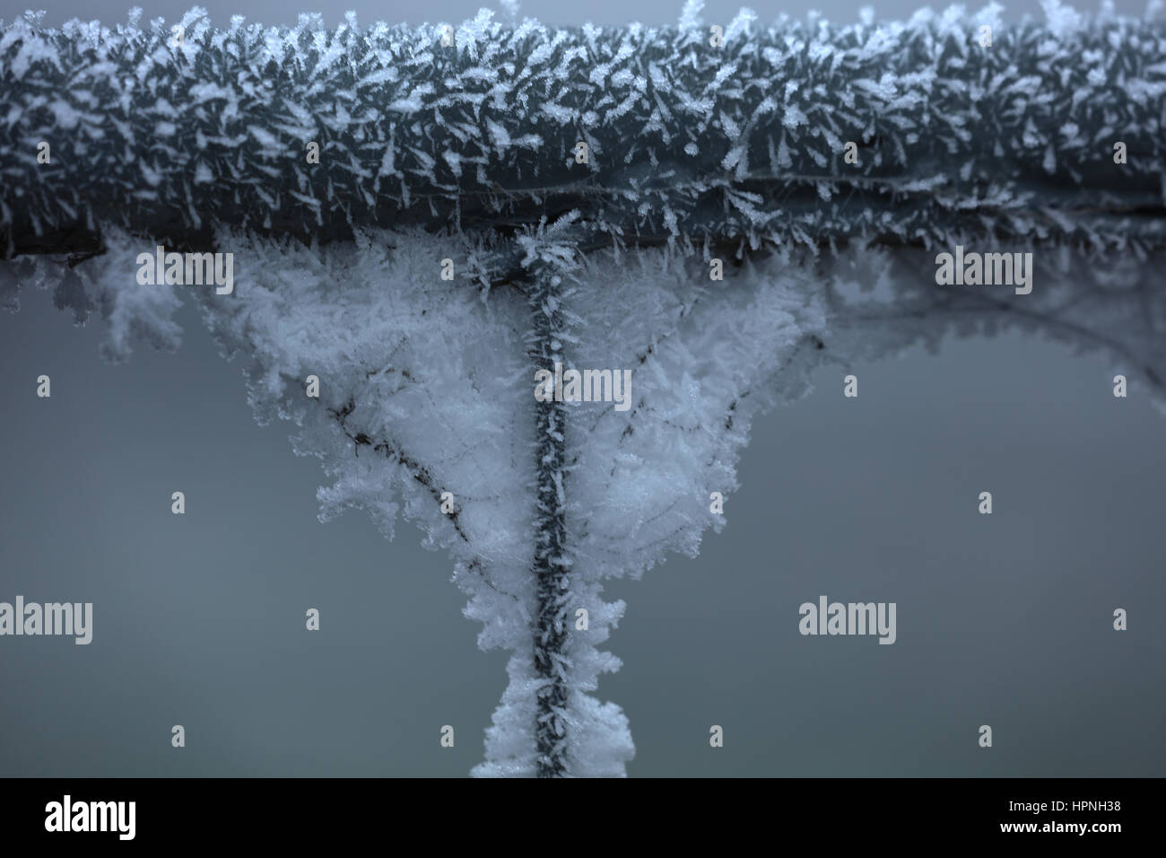 Zaun Mit Eis bedeckt Stockfoto