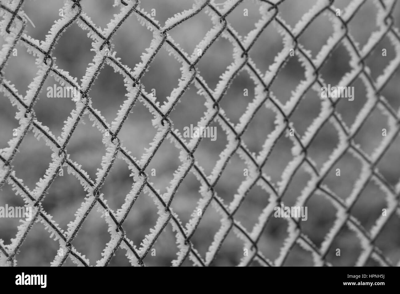 Maschendrahtzaun Mit Eis bedeckt Stockfoto