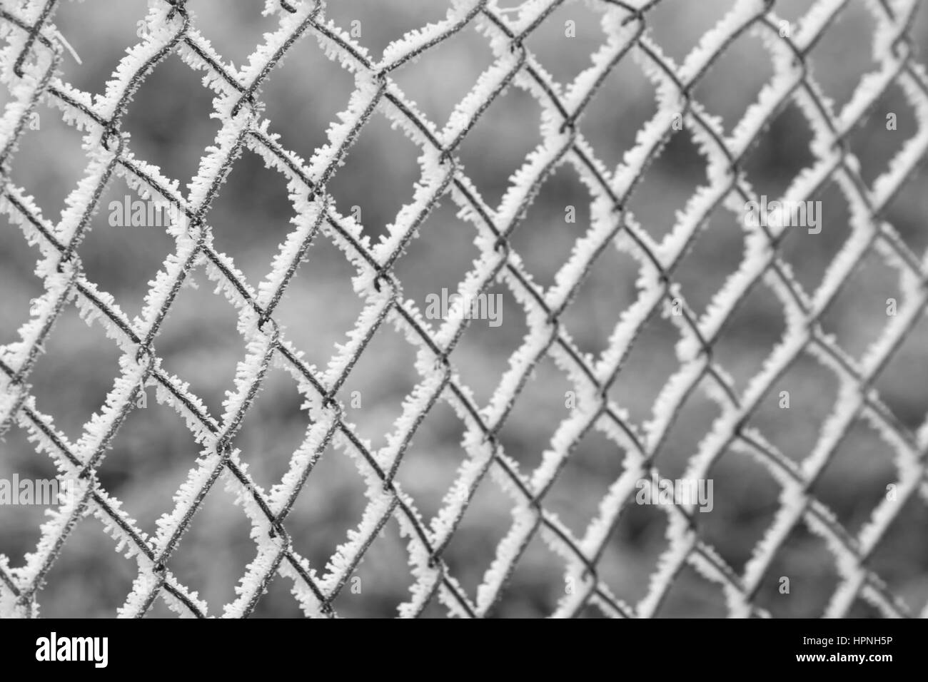 Maschendrahtzaun Mit Eis bedeckt Stockfoto