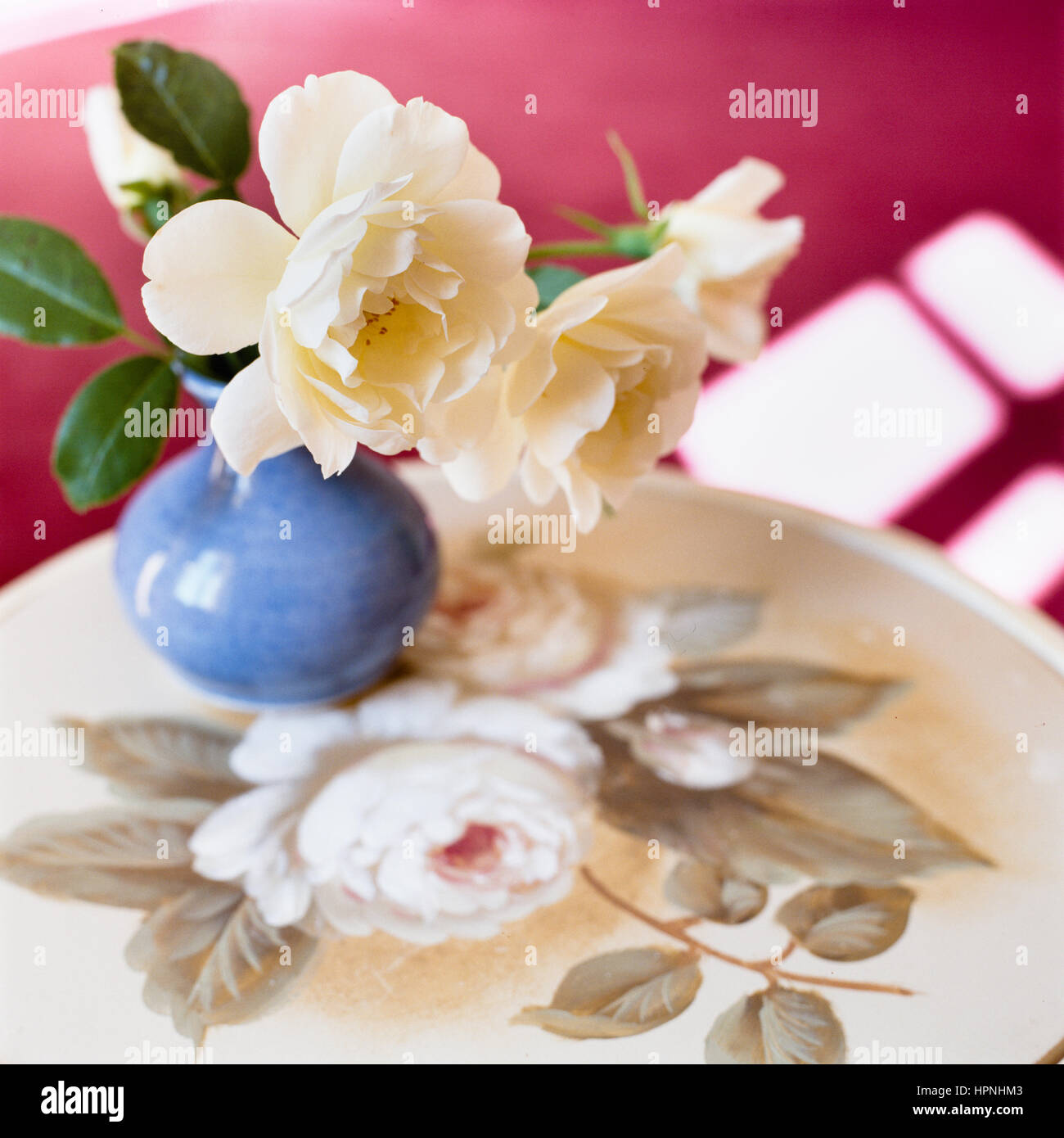 Eine Vase mit Blumen auf einem Teller. Stockfoto